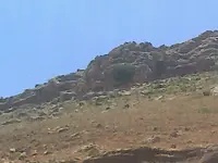 ERG0176.webp