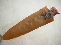 DSCN3321.webp