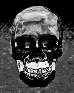 skull etc 013-1-platinum_edited-4.webp skull etc 013-1-platinum_edited-4.webp