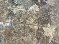 ERG0137.webp