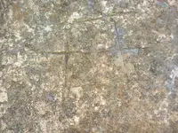 ERG0139.webp
