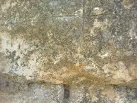 ERG0140.webp