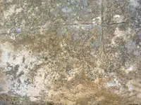 ERG0141.webp