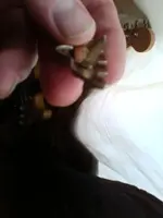 imagejpeg_2.webp