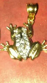 imagejpeg_217.webp