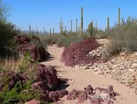 desert_wash.webp