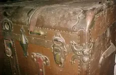 Trunk1.webp