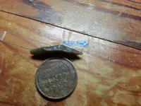 20130712_220751.webp 20130712_220751.webp