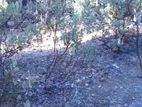 PIC_0223.webp