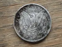 image-3542610101.webp