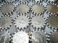 DSCN6431.webp