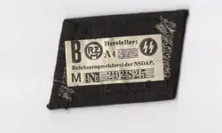 back.webp