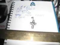 July 13 find.webp
