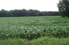 100_3496.webp