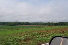 100_3499.webp
