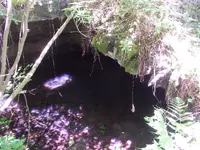 DSCN0227.webp