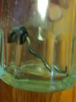 image-1686050478.webp