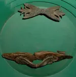 DSCF0030.webp