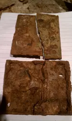 IMAG0090.webp