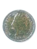 12.webp
