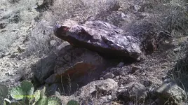 IMAG0793 (3).webp