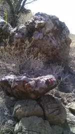 IMAG0794 (3).webp
