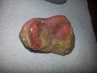 20130629_131027.webp