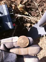 button find.webp