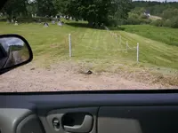 20130617_Laying eggs.webp