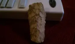 IMAG0586.webp IMAG0586.webp
