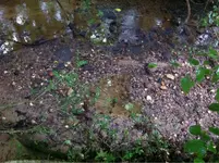 image-722490129.webp