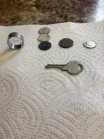 treasure08-01-2013.webp