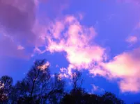 scottish sky dragon.webp