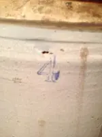 image-1926503752.webp