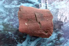 DSCF5455.webp