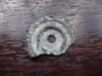 DSCF7133[1].webp