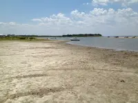 image-1264960648.webp