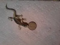 IMG_20130713_185939.webp