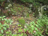 023.webp