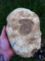 image-3900916928.webp