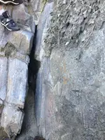 image-330781582.webp