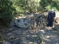 image-4132771416.webp