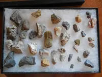 DSCN3399.webp