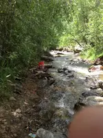 image-1423172007.webp