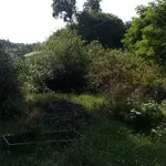 20130801_162446-1.webp