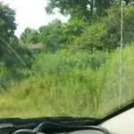 20130801_162818-1.webp