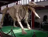gomphothere.webp