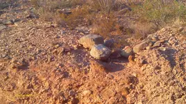 IMAG1412.webp