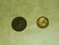 penny1.webp