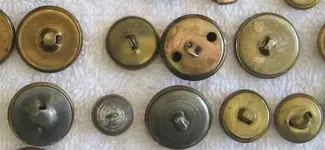 button eagle ebay backs.webp